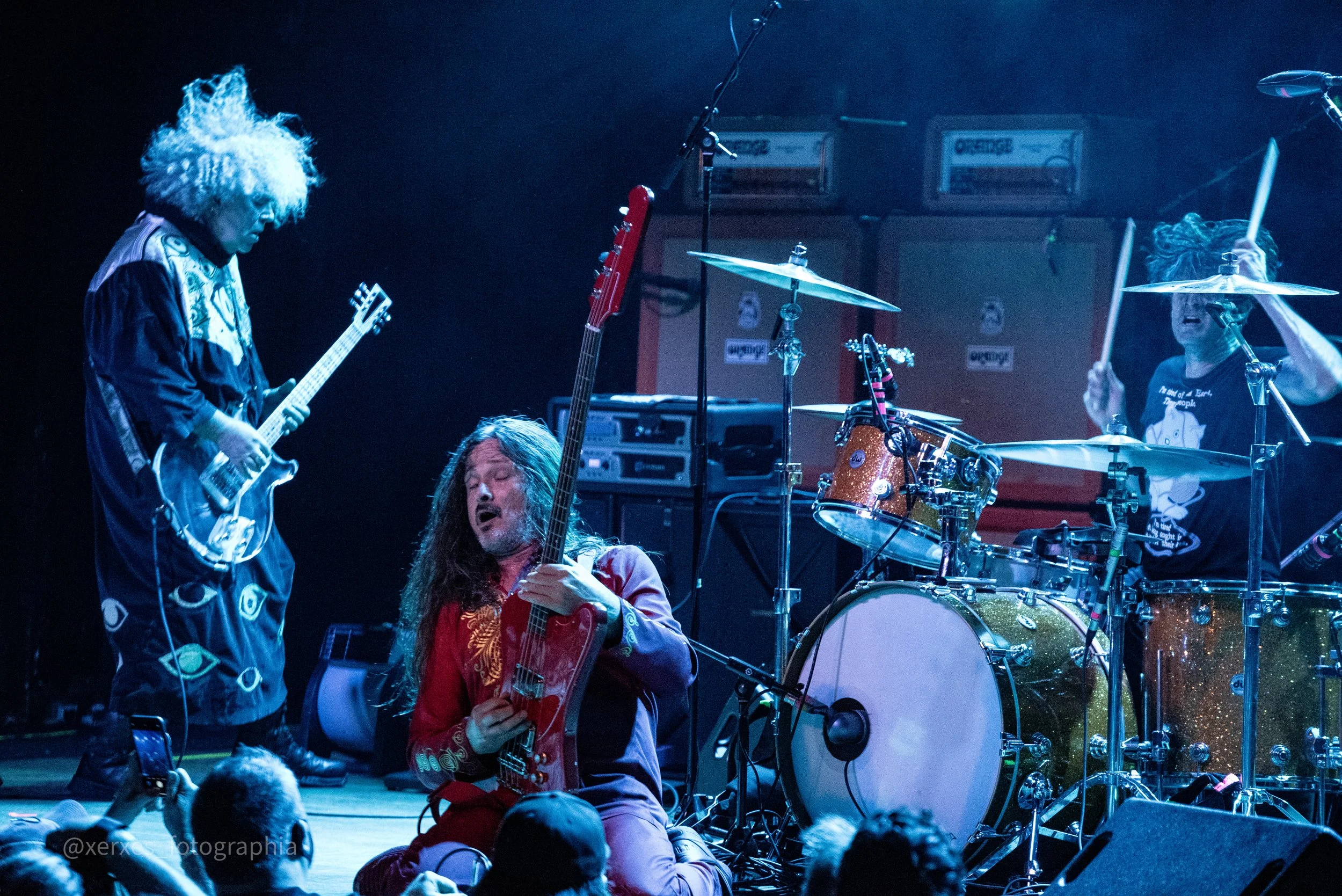Melvins playing live