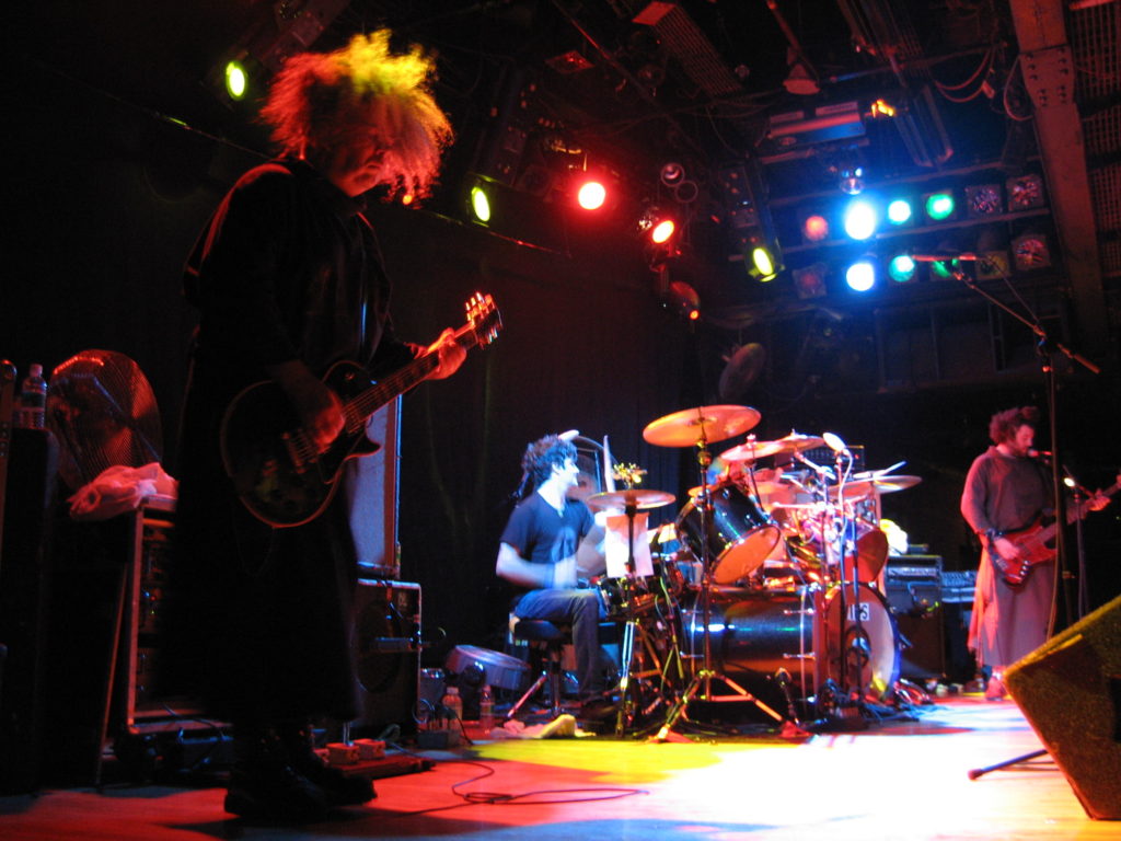 Crowd at a Melvins show